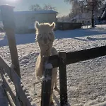 Sonnenschein Mit Kleinem Bauernhof Διαμέρισμα