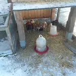 Sonnenschein Mit Kleinem Bauernhof *
