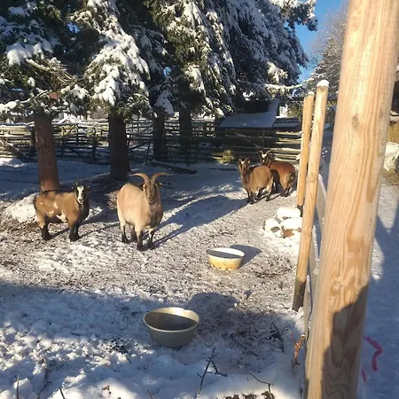 Appartement Sonnenschein Mit Kleinem Bauernhof *