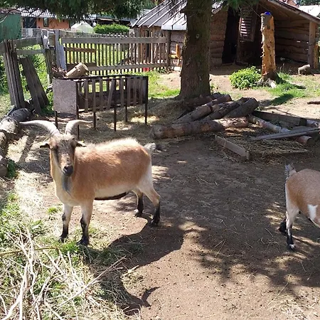 Sonnenschein Mit Kleinem Bauernhof *