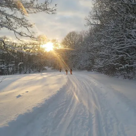 Sonnenschein Mit Kleinem Bauernhof *