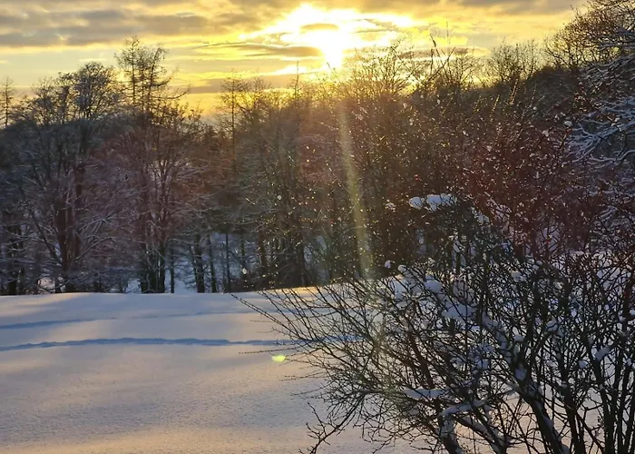 Sonnenschein Mit Kleinem Bauernhof Lägenhet