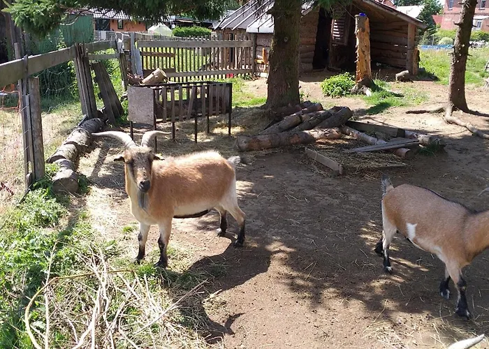 Sonnenschein Mit Kleinem Bauernhof *