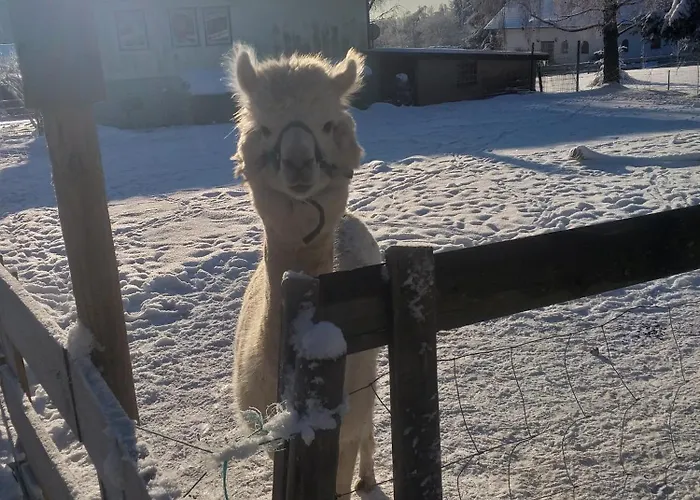 Sonnenschein Mit Kleinem Bauernhof Lägenhet
