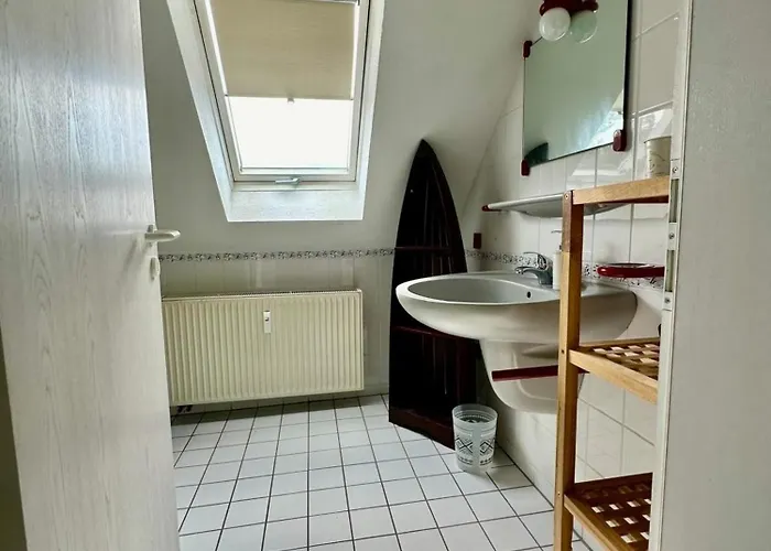 Sonnenschein Mit Kleinem Bauernhof Thale