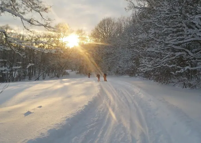 Sonnenschein Mit Kleinem Bauernhof *