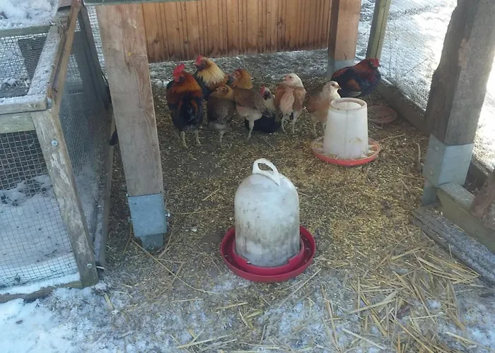 Sonnenschein Mit Kleinem Bauernhof *